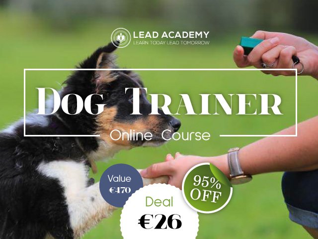 Dog Trainer Online Course by Lead Academy